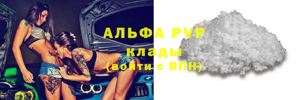 сатива Арсеньев