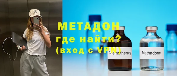 индика Новодвинск