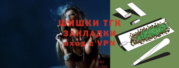 сатива Арсеньев