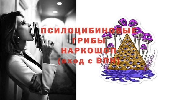 сатива Арсеньев