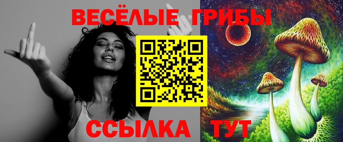 Псилоцибиновые грибы прущие грибы Ессентуки